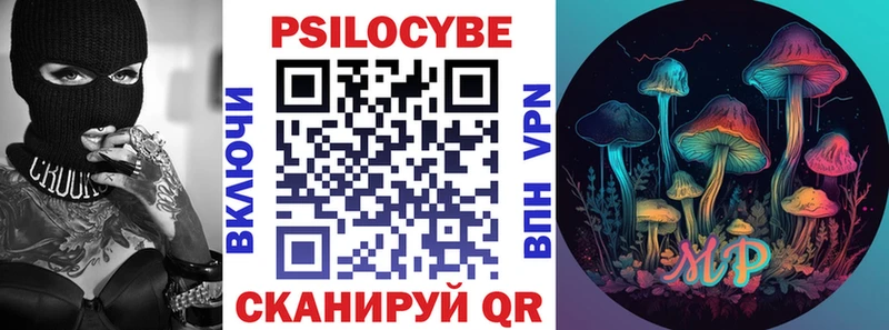 Купить где  Строитель  Псилоцибиновые грибы мицелий 