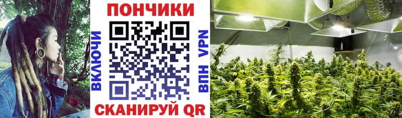 Каннабис тримм  Купить закладки  Строитель 